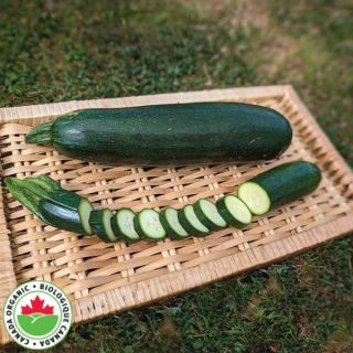 Green Machine Organic Zucchini Thumbnail